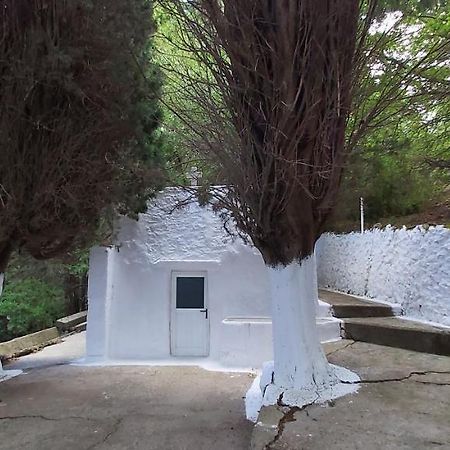 Traditional House In Asfendiou Agios Dimitrios  Exterior photo