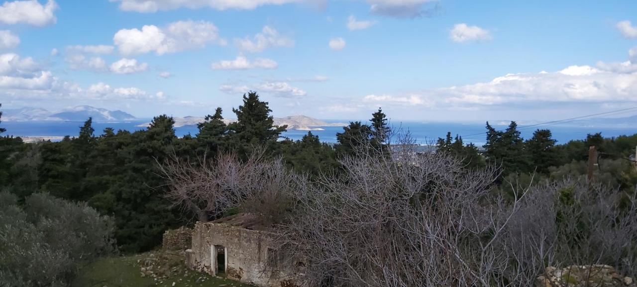Traditional House In Asfendiou Agios Dimitrios  Exterior photo